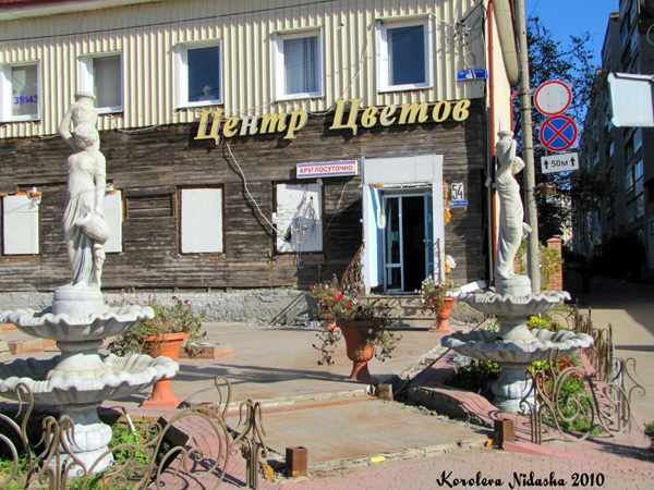 Центр цветов на Ленина 54 в Ковровском районе Владимирской области фото vgv