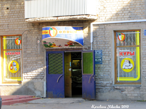 магазин Продукты на Ленина 58а в Ковровском районе Владимирской области фото vgv
