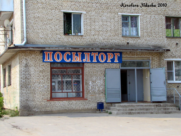 магазин продуктов Посылторг на Муромской 33 в Ковровском районе Владимирской области фото vgv