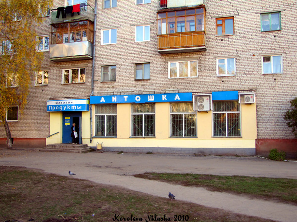 продуктовый магазин Антошка  в переулке Ногина 8 в Ковровском районе Владимирской области фото vgv