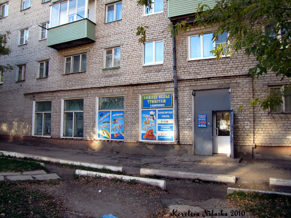 магазин Промтовары в переулке Ногина 8 в Ковровском районе Владимирской области фото vgv