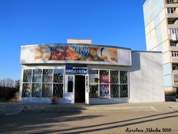 магазин Продукты на Ногина 18 в Ковровском районе Владимирской области фото vgv