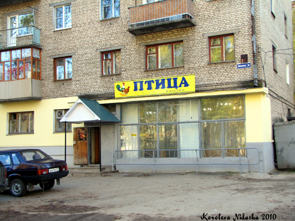 продуктовый магазин Птица на Ногина 59 в Ковровском районе Владимирской области фото vgv
