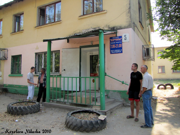Магазин Борчалы в Ковровском районе Владимирской области фото vgv