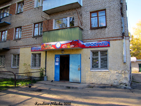 магазин Продукты на Подлесной 14 в Ковровском районе Владимирской области фото vgv