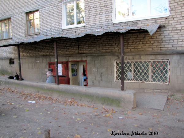 Магазин Продукты на Пугачева 9 в Ковровском районе Владимирской области фото vgv