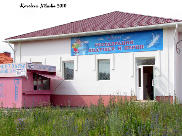 Дрёма - реставрация подушек и перин в Ковровском районе Владимирской области фото vgv