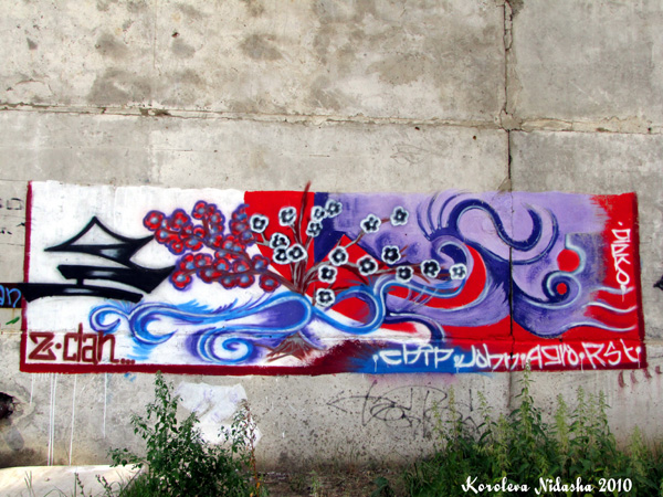 Граффити в Ковровском районе Владимирской области фото vgv