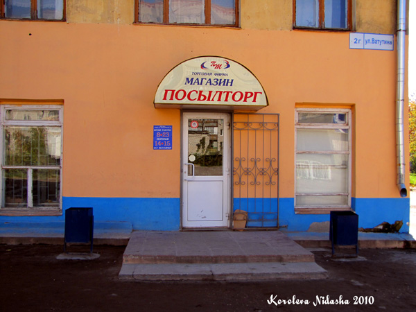 Магазин Посылторг на Ватутина 2г в Ковровском районе Владимирской области фото vgv