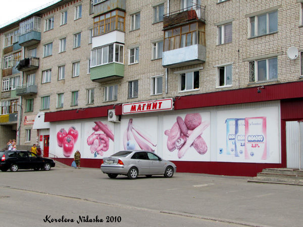 магазин Магнит на Строителей 14 в Ковровском районе Владимирской области фото vgv