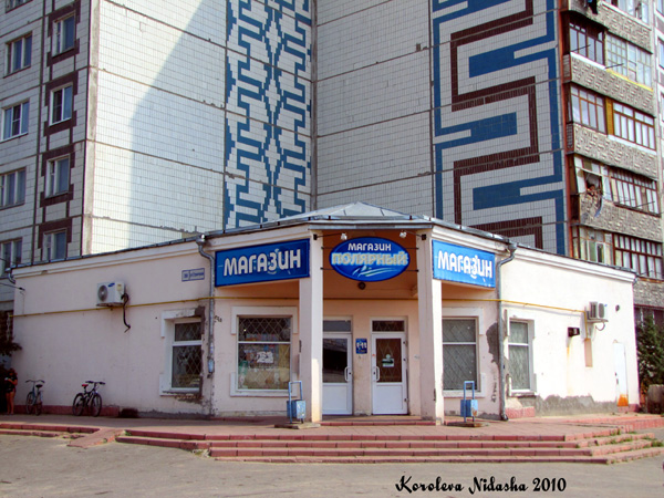 Магазин Полярный в Ковровском районе Владимирской области фото vgv