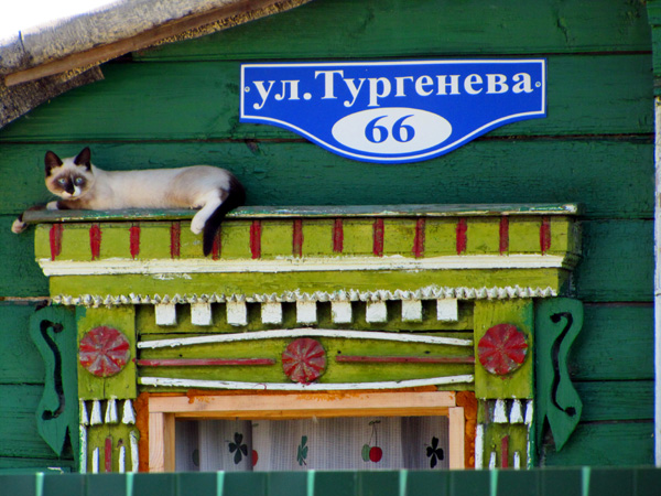 Тургеневский кот в Ковровском районе Владимирской области фото vgv