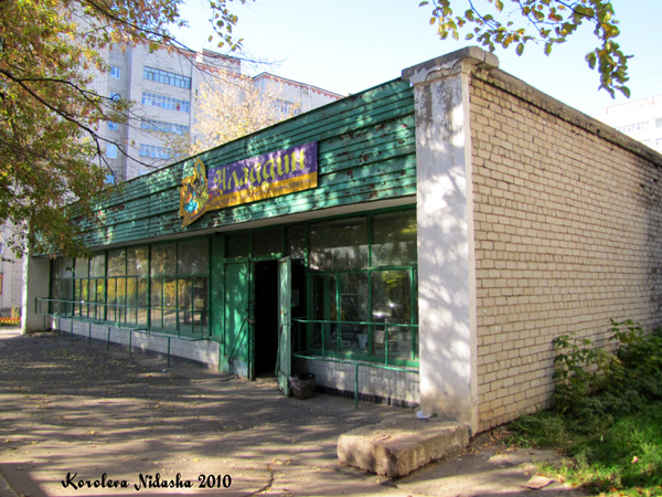 магазин напольных покрытий Алладин на Фурманова 14 в Ковровском районе Владимирской области фото vgv
