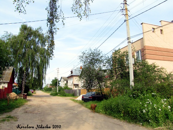 город Ковров улица Хвойная в Ковровском районе Владимирской области фото vgv