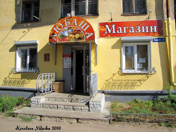 магазин продуктов Любаша в Ковровском районе Владимирской области фото vgv