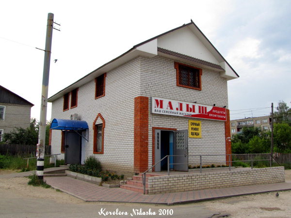 Магазин Малыш в Ковровском районе Владимирской области фото vgv