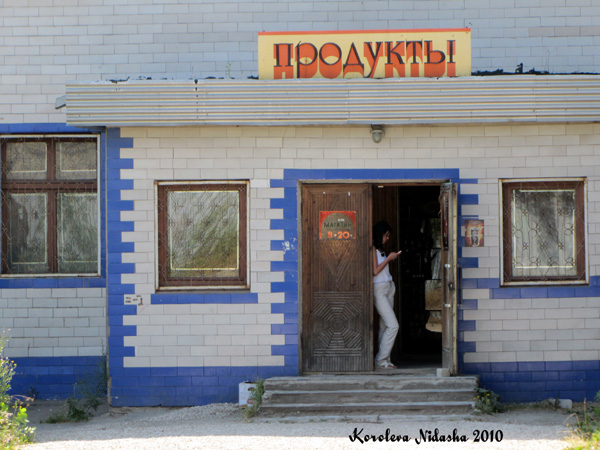 магазин Продукты на Володарского 39 в Ковровском районе Владимирской области фото vgv