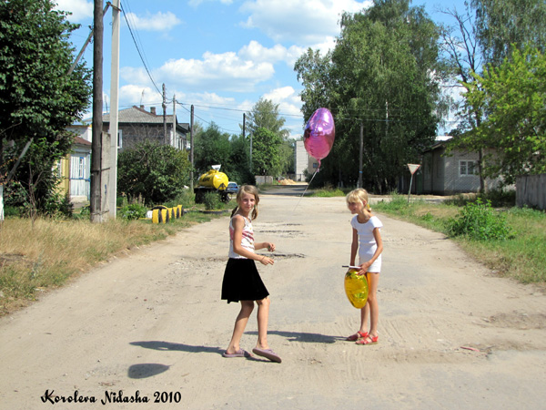 Солнечному дню - праздничное настроение в Ковровском районе Владимирской области фото vgv