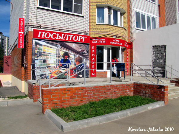 Магазин Посылторг ООО Виола на Грибоедова 1 в Ковровском районе Владимирской области фото vgv