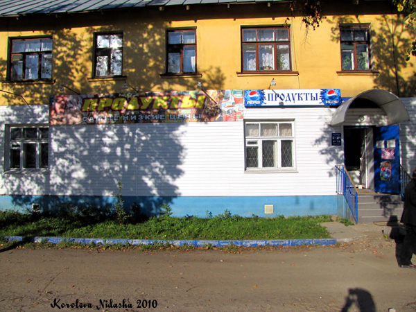 Магазин Птица на Грибоедова 60 в Ковровском районе Владимирской области фото vgv