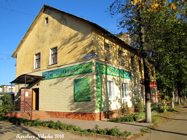 город Ковров улица Грибоедова 62 в Ковровском районе Владимирской области фото vgv