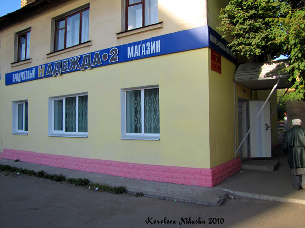 Магазин Надежда-2 в Ковровском районе Владимирской области фото vgv