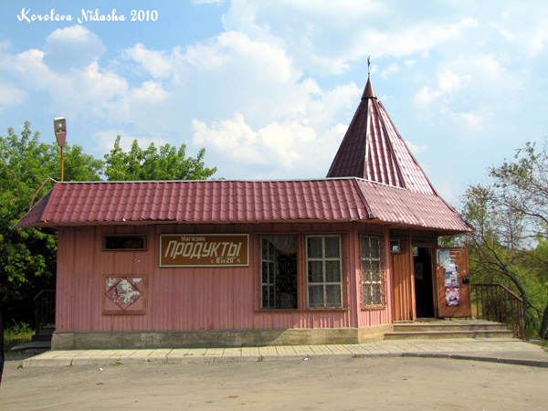 Магазин Продукты в Даниловском переулке в Ковровском районе Владимирской области фото vgv