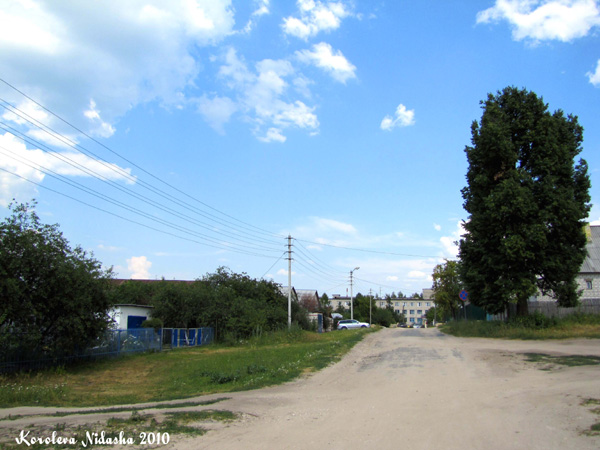 город Ковров улица Дачная в Ковровском районе Владимирской области фото vgv