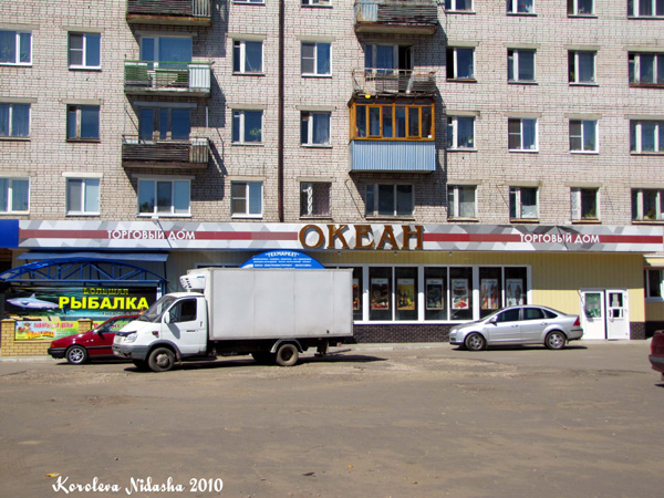 Торговый дом Океан в Ковровском районе Владимирской области фото vgv