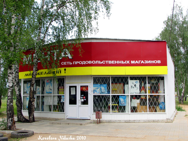 Сето продовольственных магазинов Мечта в Ковровском районе Владимирской области фото vgv