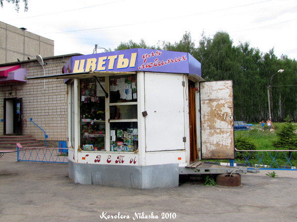 Павильон Цветы на Еловой 86 в Ковровском районе Владимирской области фото vgv