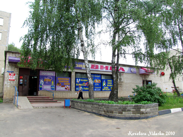 Магазин Вика в Ковровском районе Владимирской области фото vgv