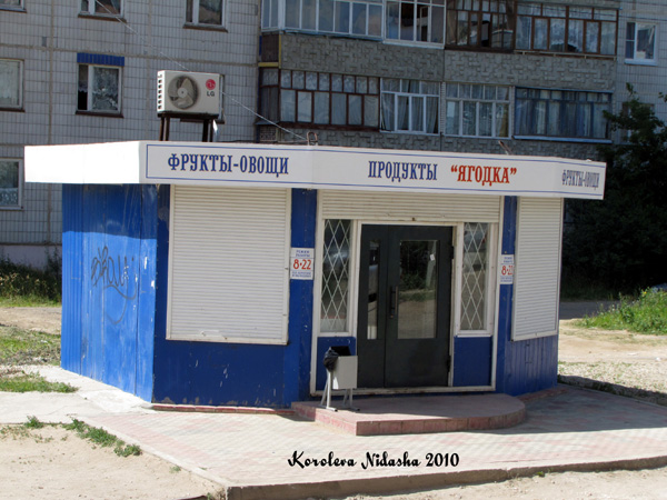 Павильон Подукты на Запольной 30 в Ковровском районе Владимирской области фото vgv