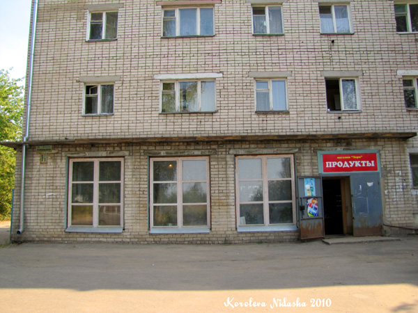 Магазин продуктов Заря в Ковровском районе Владимирской области фото vgv