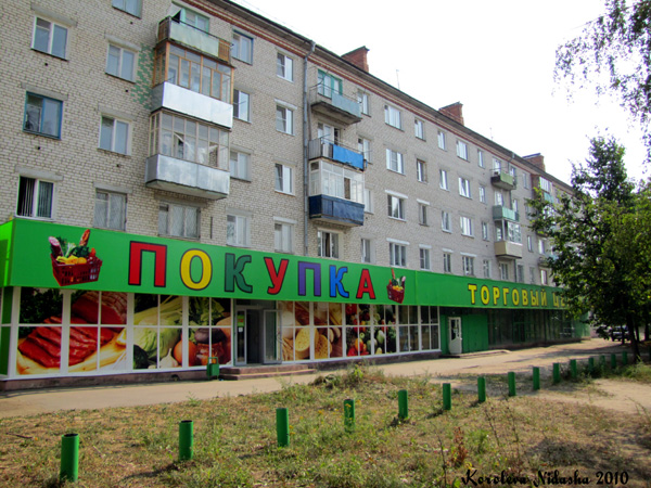 Торговый центр Покупка в Ковровском районе Владимирской области фото vgv