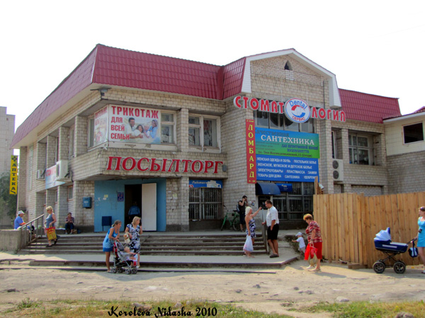магазин Сантехника на улице Зои Космодемьянской 13 в Ковровском районе Владимирской области фото vgv