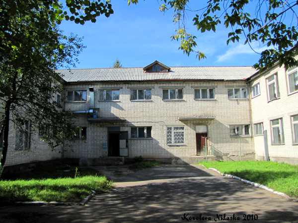 Детский сад N 50 в Ковровском районе Владимирской области фото vgv