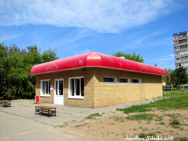 Продовольственный магазин Ассорти на Кирова 75а в Ковровском районе Владимирской области фото vgv