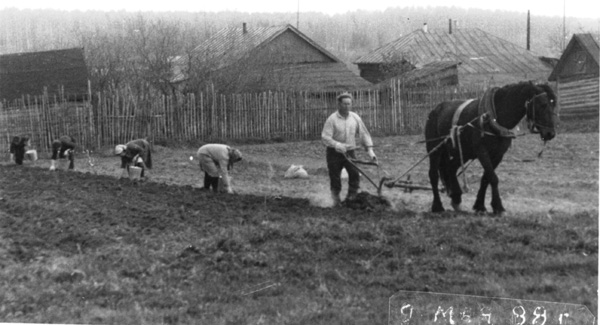 9 мая 1988 г. - Егоров Анатолий сажает картошку в Меленковском районе Владимирской области фото vgv