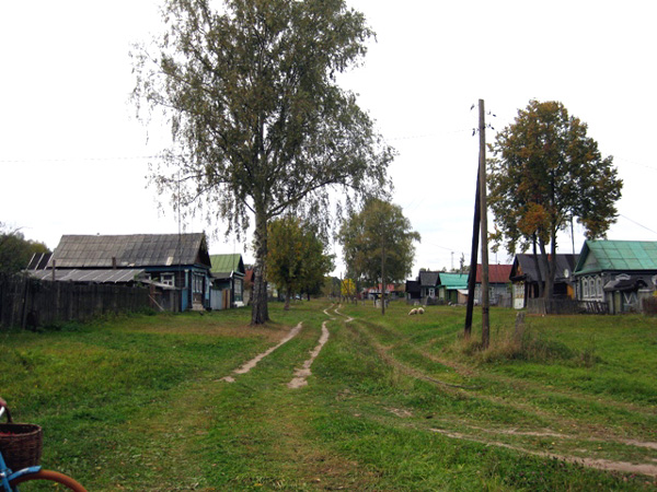 Просеницы деревня в Меленковском районе Владимирской области фото vgv