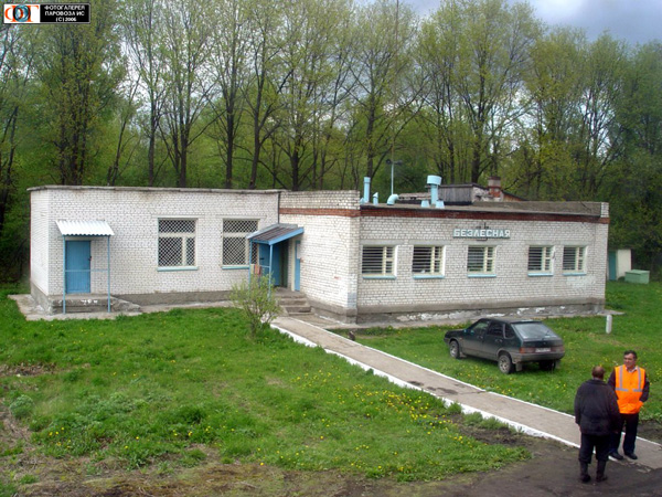 Безлесная станция в Муромском районе Владимирской области фото vgv