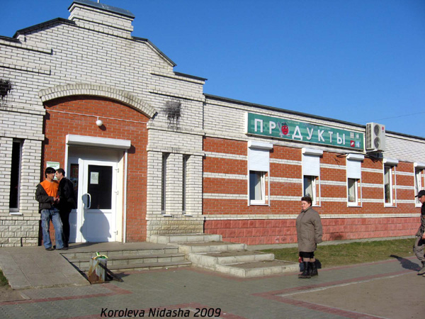 Торговый комплекс Надежда в Собинском районе Владимирской области фото vgv