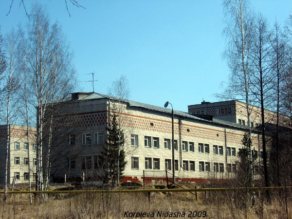 Собинская центральная районная больница в Собинском районе Владимирской области фото vgv