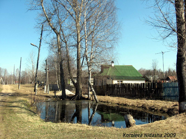 пруд у дома 38 по ул. 8-го Марта в Собинском районе Владимирской области фото vgv