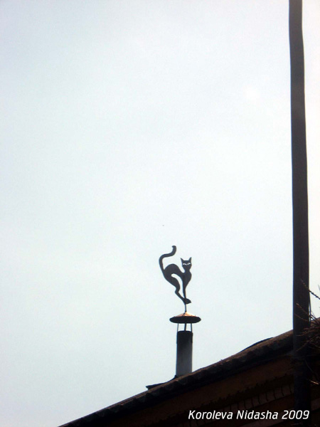 Киска держит хвост над трубой в Собинском районе Владимирской области фото vgv