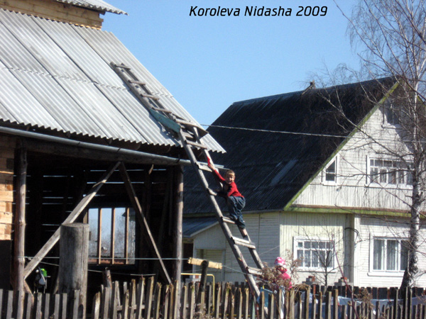 Все выше и выше...и уже почти у самой крыши в Собинском районе Владимирской области фото vgv