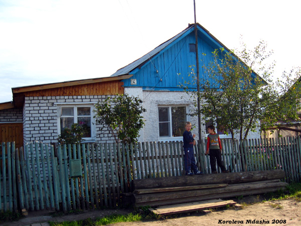 Встреча на заборе в Собинском районе Владимирской области фото vgv