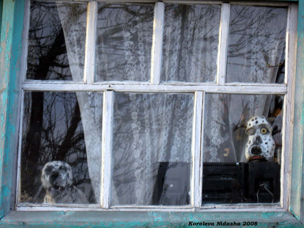 Два доблестных охранника - настоящий и неочень в Собинском районе Владимирской области фото vgv