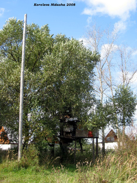 Жилье на дереве в Собинском районе Владимирской области фото vgv