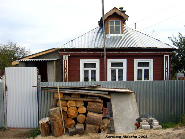 киса-путешественница в Собинском районе Владимирской области фото vgv